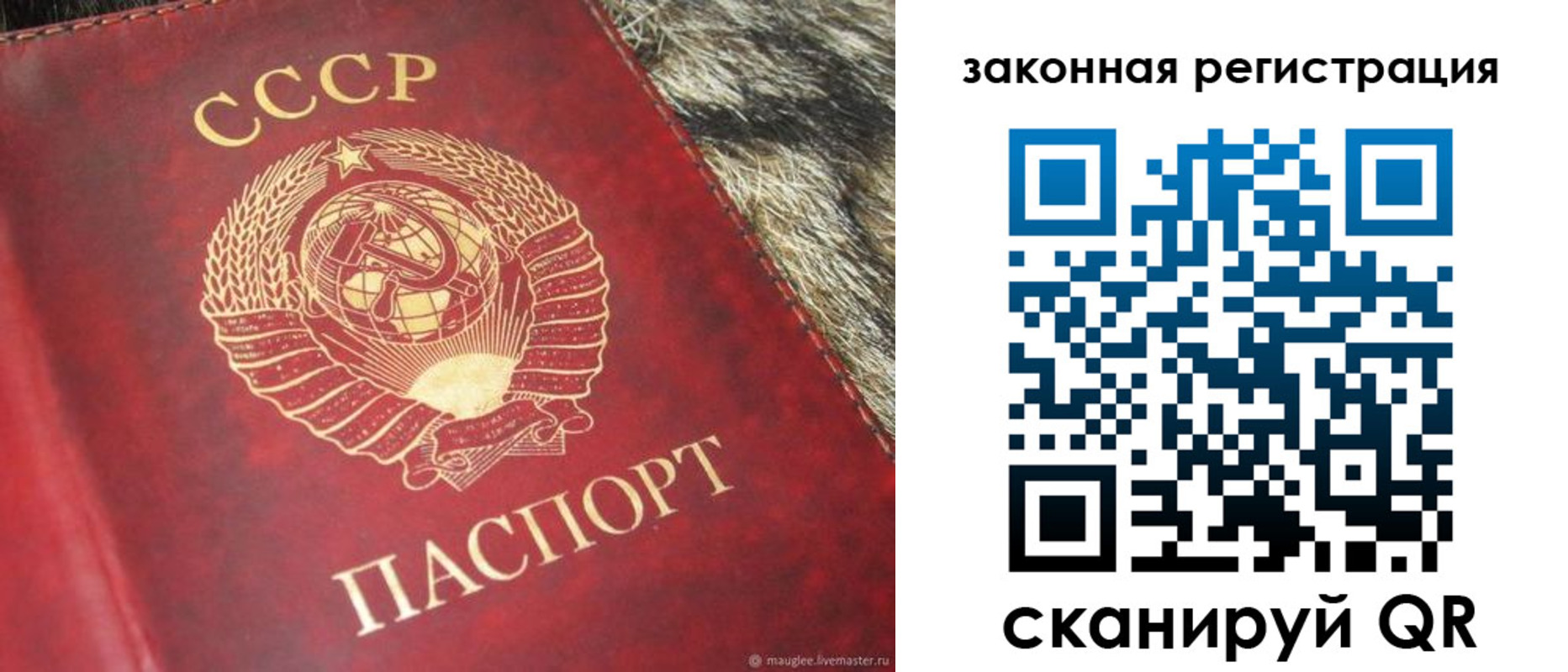 прописка от собственника в Жуковке
